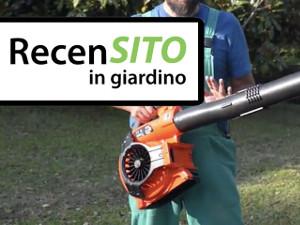 Prova soffiatore a batteria Echo