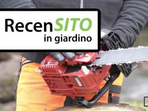Prova motosega da potatura Einhell