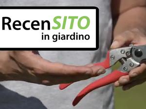 Prova forbici da potatura Ars - consigli