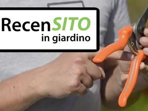 Prova forbici da potatura Lowe - consigli