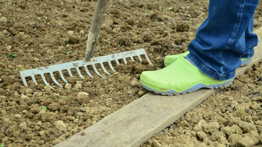 Un concorso per i progettisti del verde
