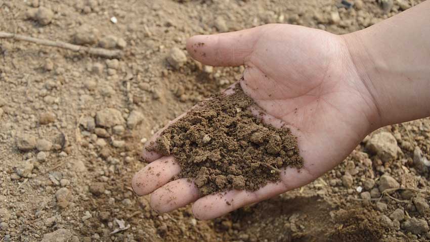 Fertilizzanti, presentato il Manuale sul campionamento