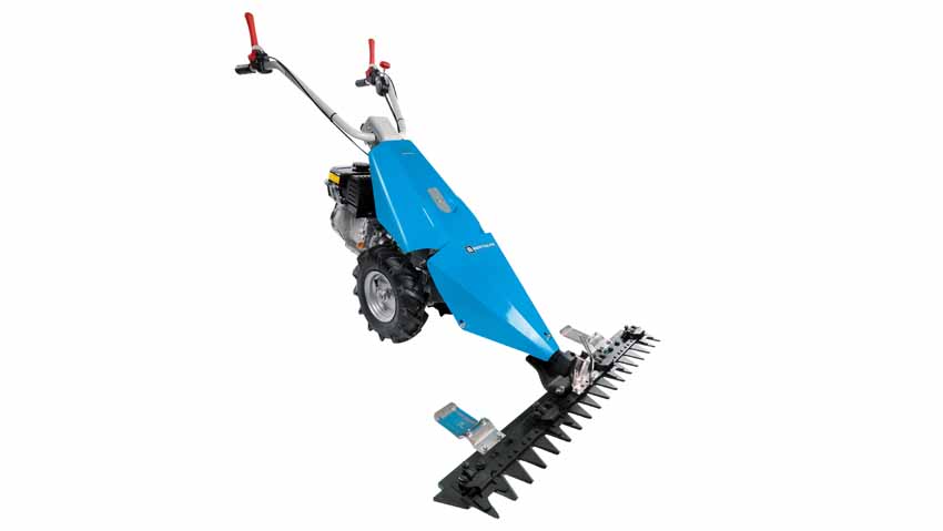 Motori, novitÃ  per piccoli orti e giardini
