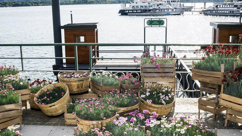 Ad Arona torna Trifolia, l'evento di florovivaismo e design