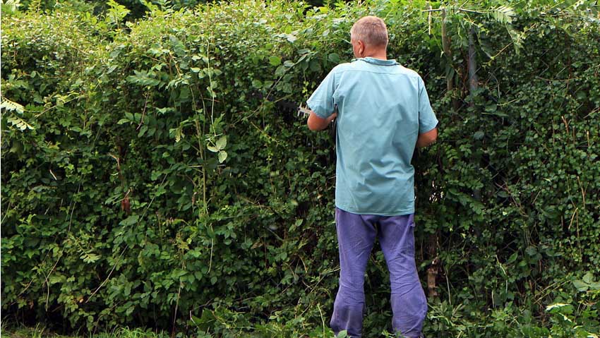 Giardini e vivai: offerte di lavoro in tutta Europa