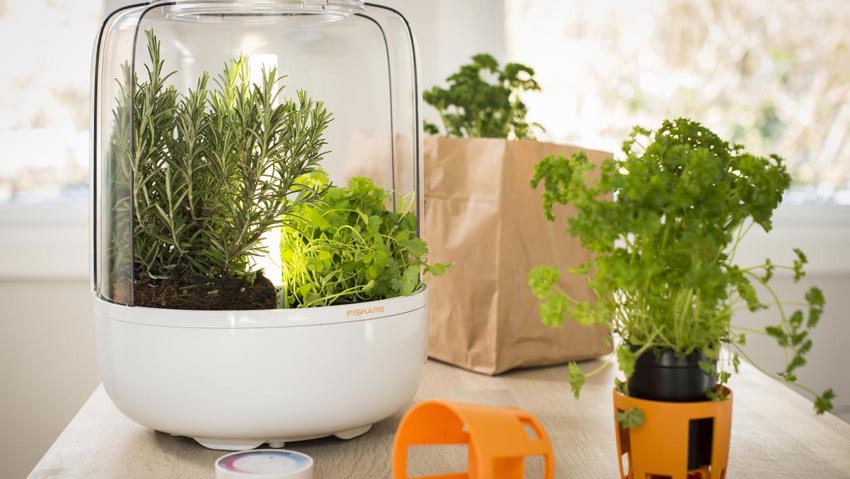 Il giardino in casa grazie al led