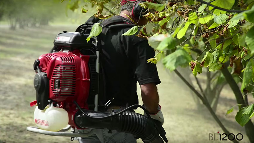 Soffiatore Cifarelli BL1200: eccolo in azione