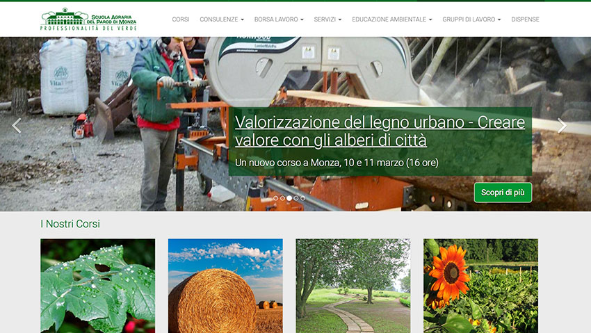 Alberi in cittÃ , un corso per professionisti
