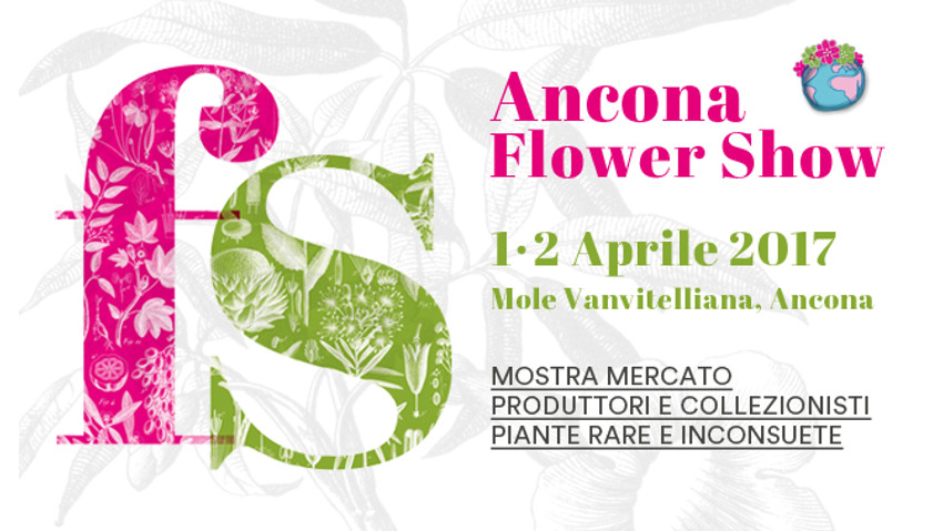 Ancona Flower Show, le novitÃ  del 2017