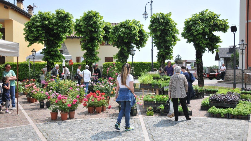 Giardinidea, un evento per scoprire il mondo del verde