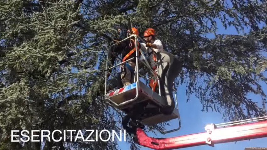 Corso di potatura degli alberi ornamentali