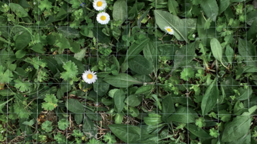 Il giardino contemporaneo, incontri di Fondazione Benetton