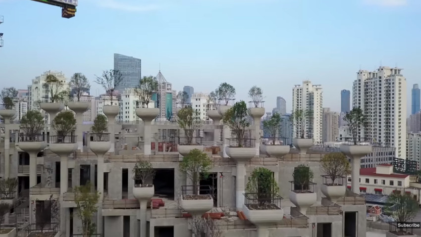 La cittÃ  dei mille alberi