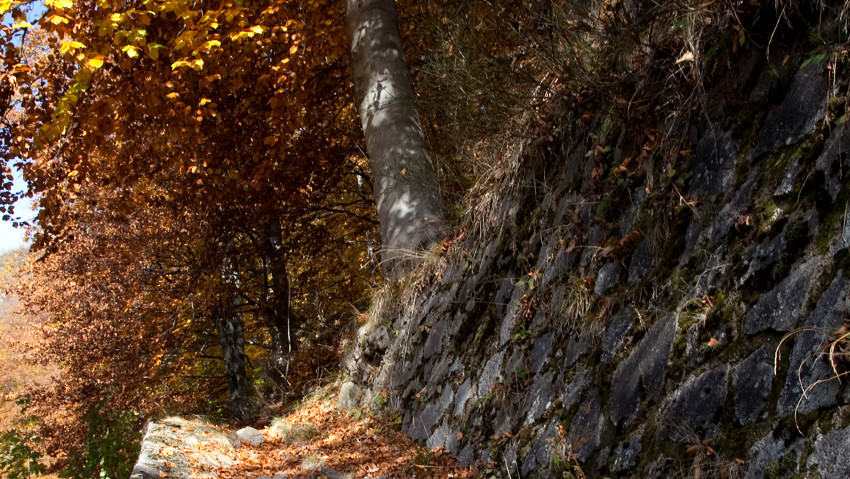 Foliage, passione per lâ€™autunno allâ€™Oasi Zegna