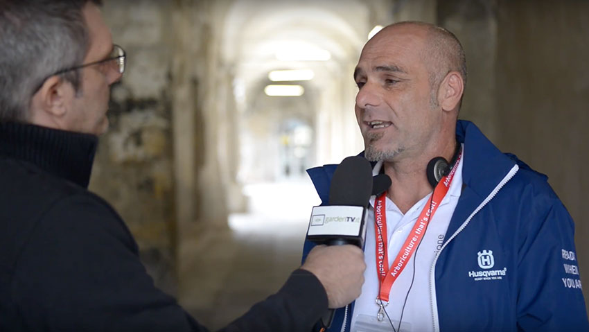 Lâ€™importanza delle radici: forme e funzioni