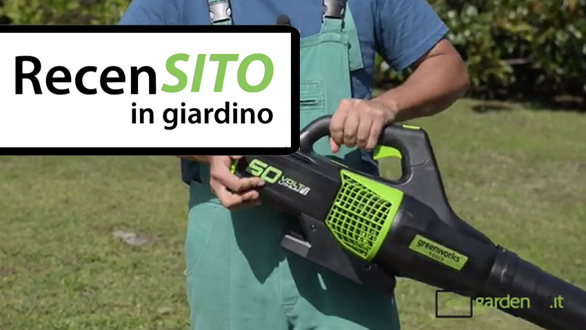 Prova soffiatore a batteria Greenworks