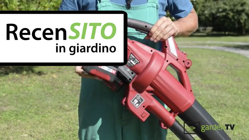 Prova soffiatore a batteria Einhell