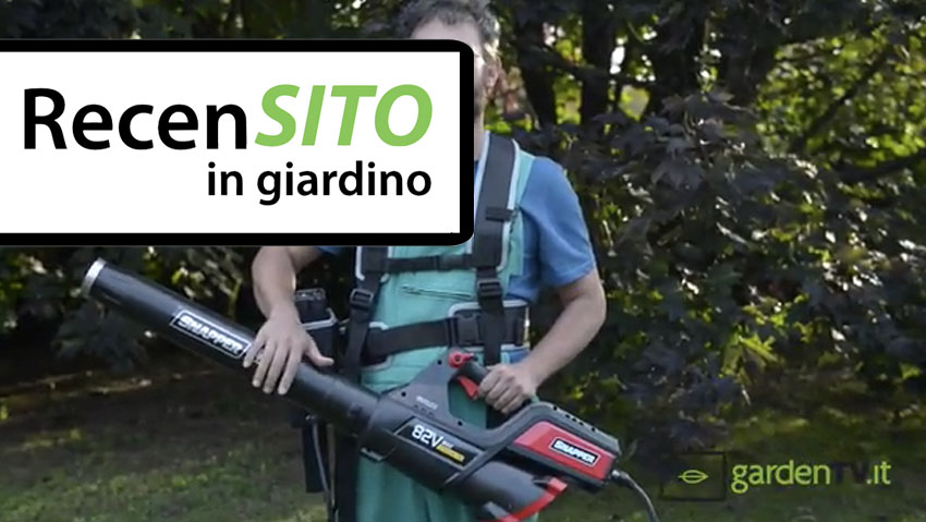 Prova soffiatore a batteria Snapper