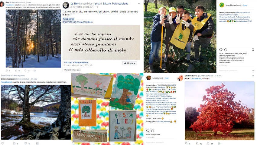La campagna social regala 40 nuove piante