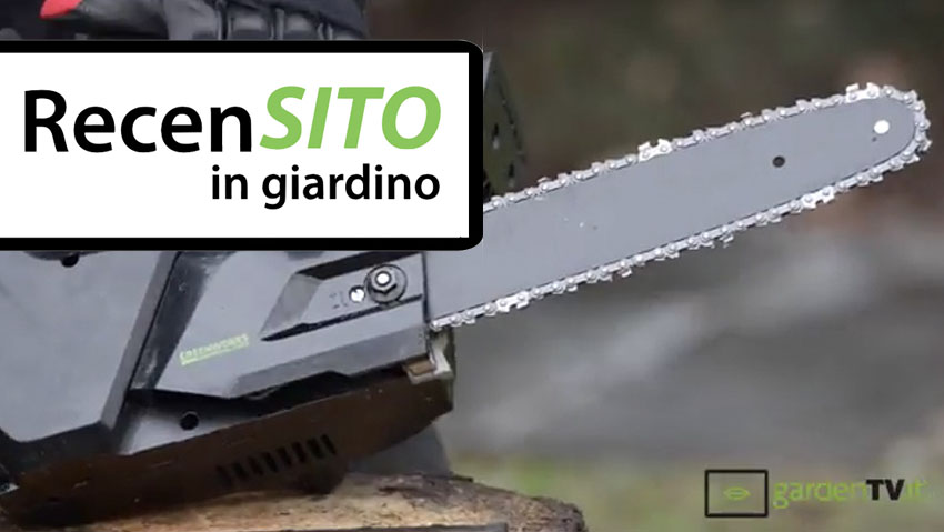 Prova motosega da potatura a batteria Greenworks
