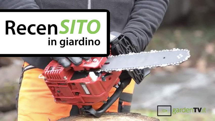 Prova motosega da potatura Einhell