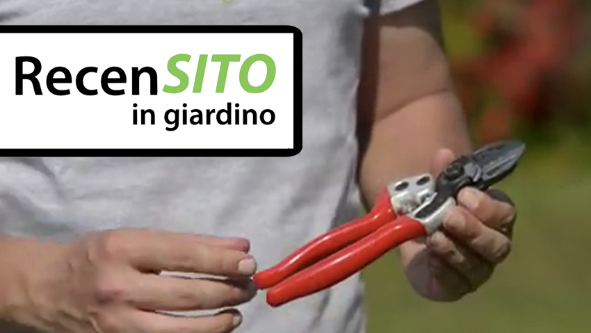 Prova forbici da potatura Falket