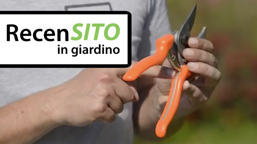 Prova forbici da potatura Lowe 
