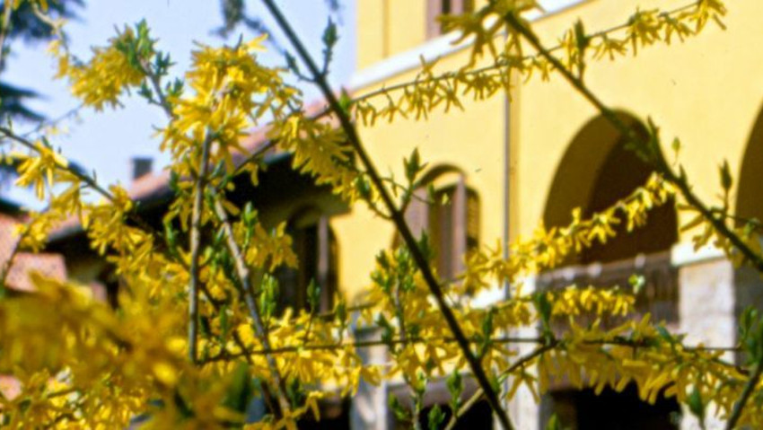 Manutentore del verde: corso per titolare o preposti