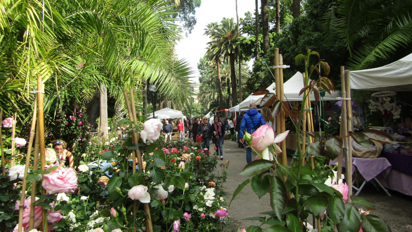 Mostra mercato di piante allâ€™Orto Botanico di Napoli