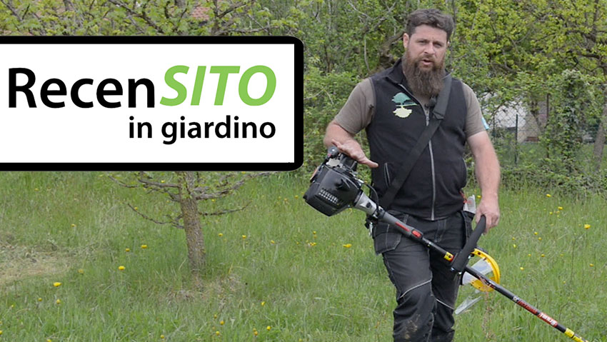 Prova decespugliatore a scoppio Brumi 