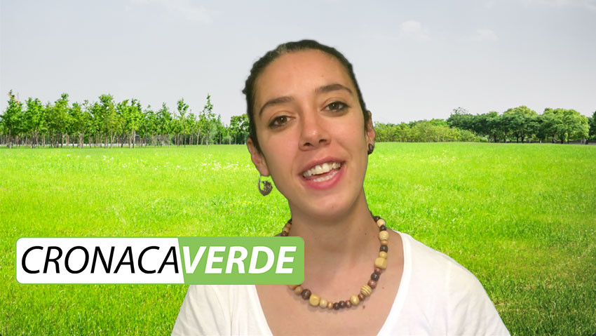 Nasce Cronaca Verde: il primo tg del giardinaggio