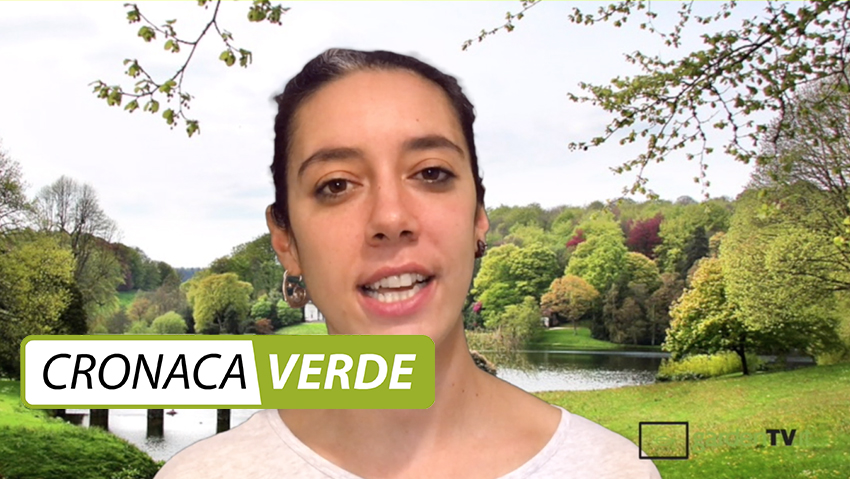 Cronaca Verde: guarda la seconda puntata