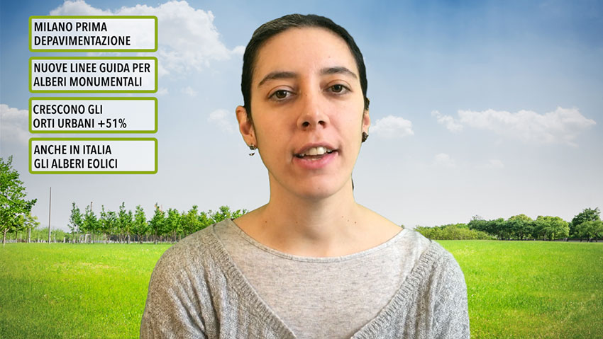 Cronaca Verde, il TG del giardinaggio
