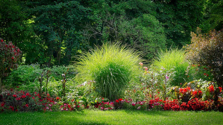 <a href='http://radiogarden.it/la-giusta-distanza-tra-le-piante/'><u>ASCOLTA IL PODCAST</u></a>  <a href='https://www.gardentv.it/come-calcolare-giusta-distanza-piante.html'>Piante: la giusta distanza</a>