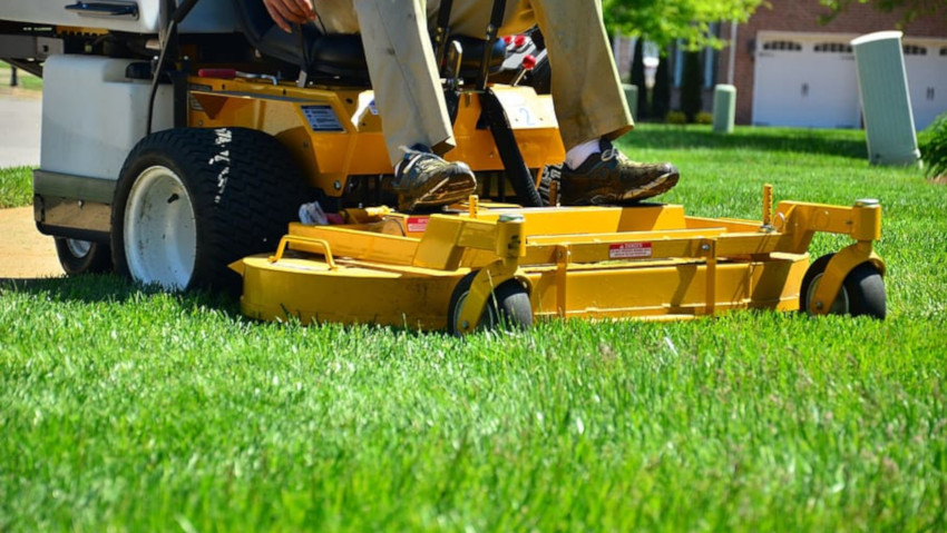 Giardinaggio: cresce il mercato dellâ€™usato
