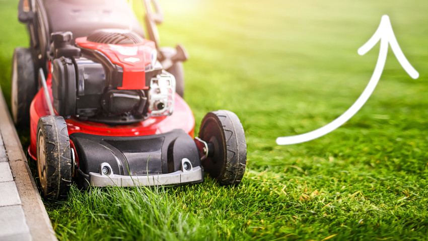 <a href=http://radiogarden.it/macchine-per-il-giardino-i-trend-dopo-il-lockdown/'><u>ASCOLTA IL PODCAST</u></a> <a href='https://www.gardentv.it/trend-macchine-giardinaggio-lockdown-podcast.html'>Giardinaggio e lockdown</a>