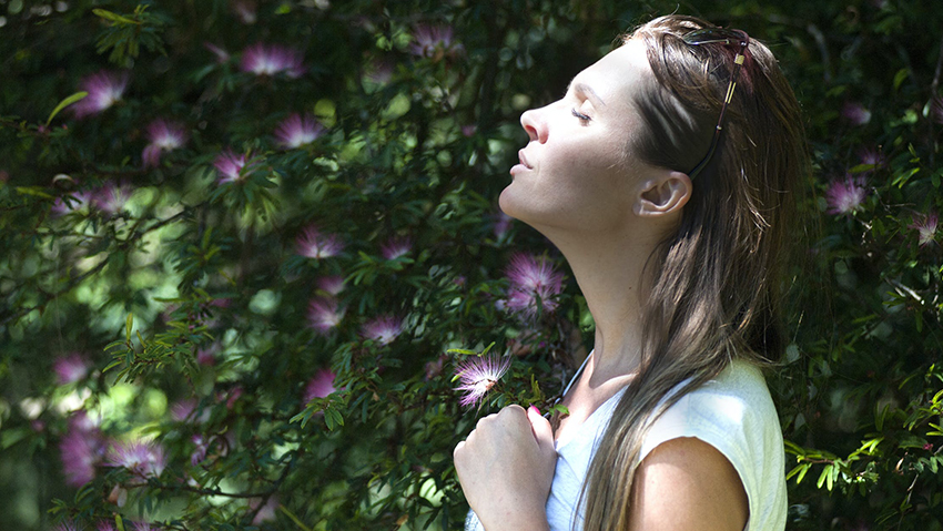 Il giardinaggio fa bene al corpo e alla mente