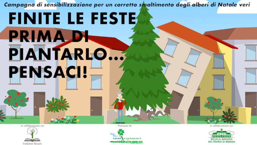 Come smaltire l'albero di Natale vero?