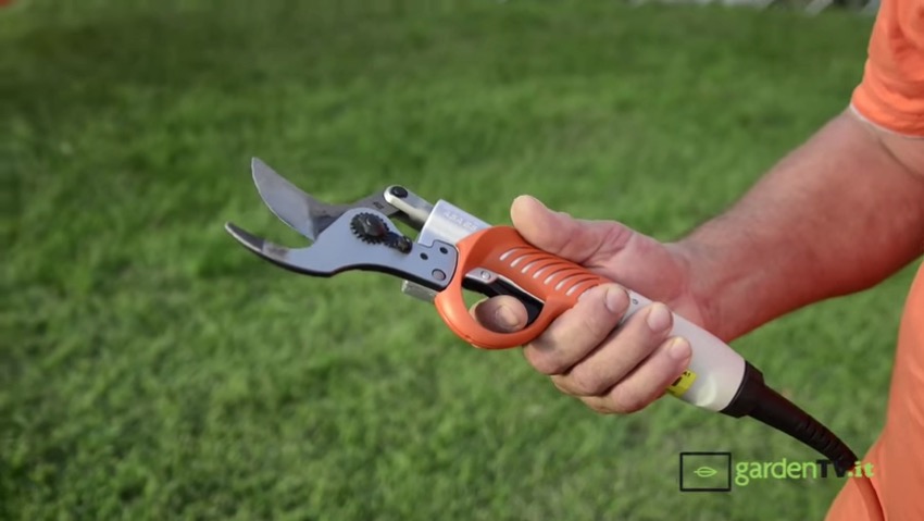 Stihl: forbici elettriche e altri attrezzi a Demogarden