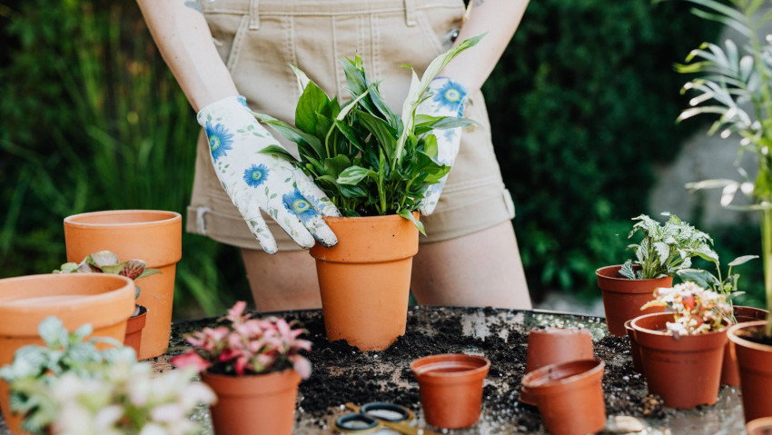 Myplant & Garden: boom giardinaggio Italia