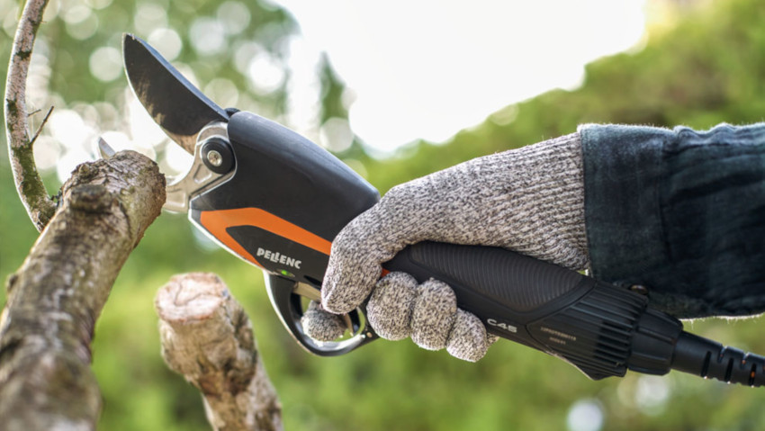Nuove forbici professionali per la potatura