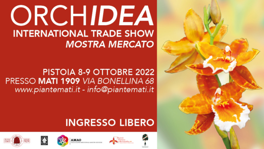 Mostra mercato di orchidee e piante rare