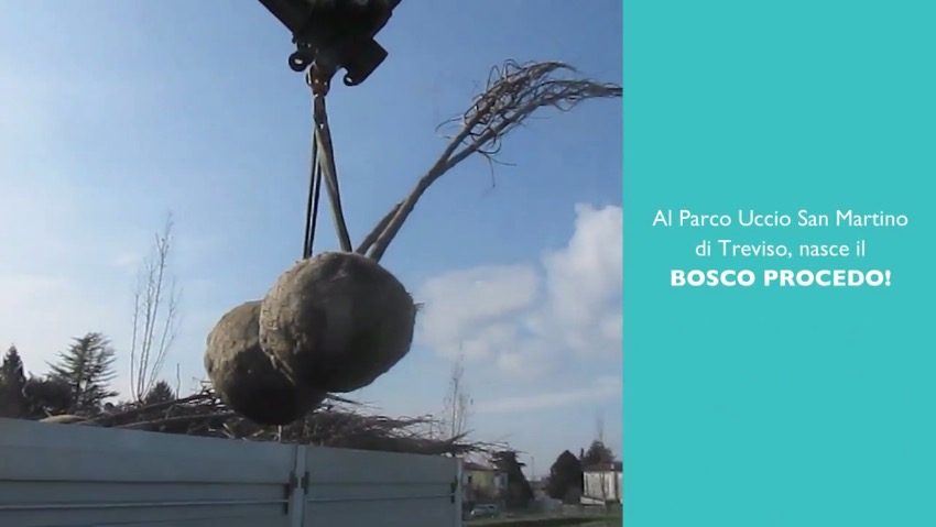 A Treviso: il bosco nato grazie ai documenti digitali