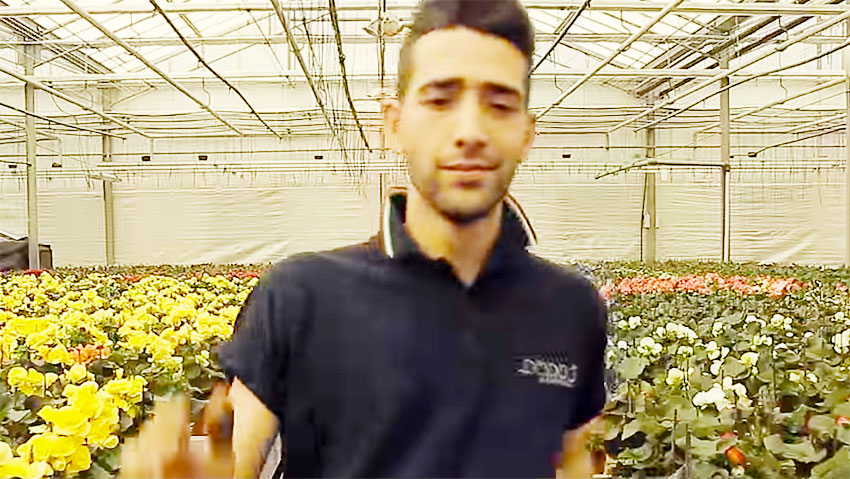 La Florpagano si presenta in versione Happy