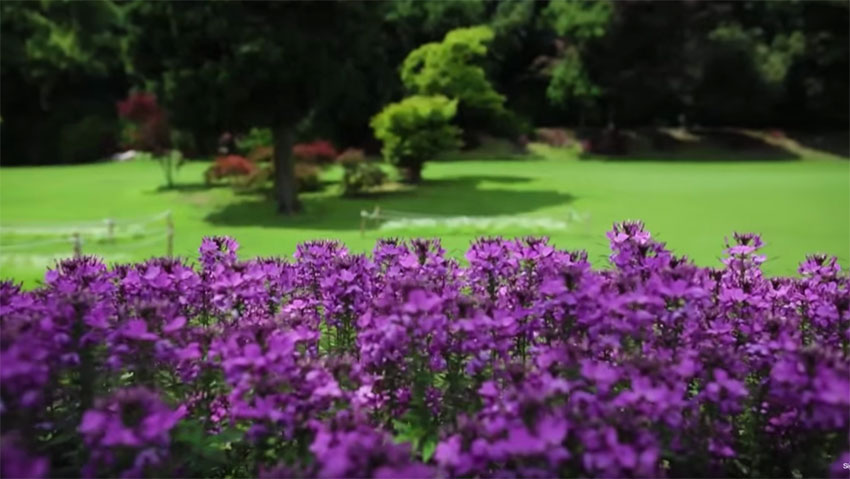 Il Parco PiÃ¹ Bello d'Italia 2013: il vincitore