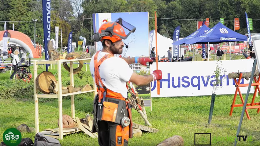 Formazione per potare alberi e uso motosega con 3T