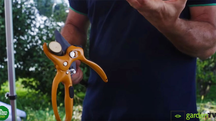 Mastertec: nuova cesoia da giardino servoassistita