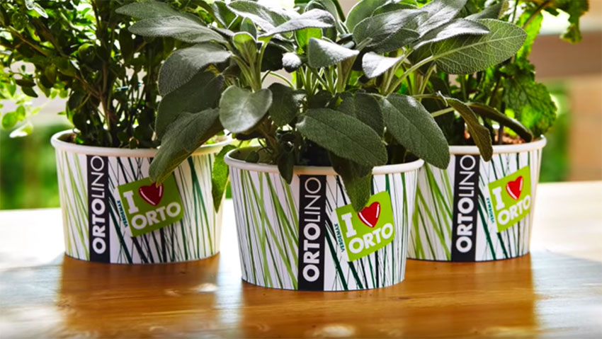 Tutorial: l'orto facile in casa con Ortolino