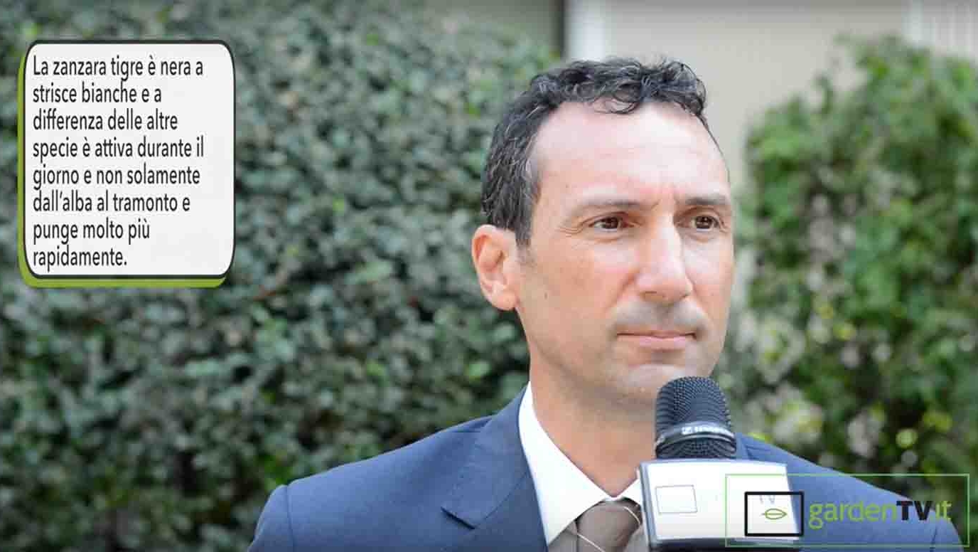 Zanzare, se le conosci le eviti, soprattutto in giardino