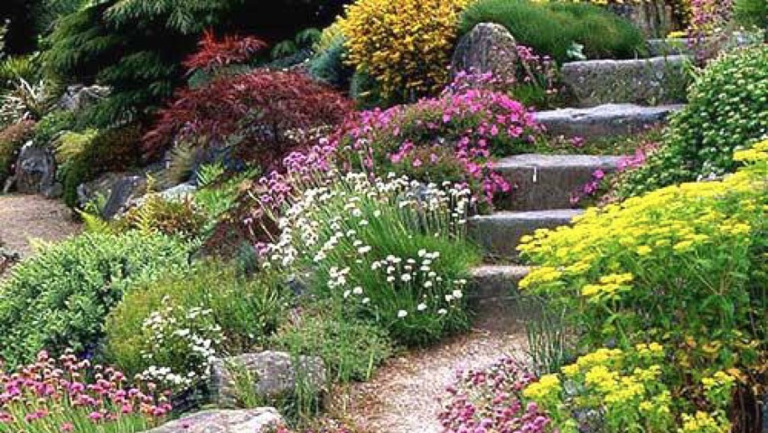 Viridea: progettare il giardino dei sogni